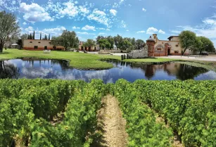 Vinedos en queretaro azteca