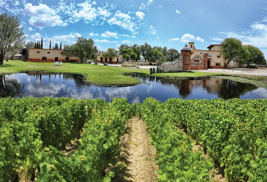 Vinedos en queretaro azteca